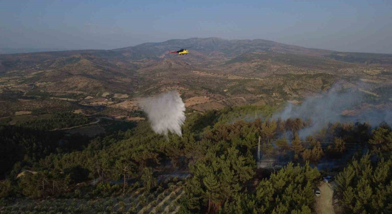 Manisadaki yangında 5 hektarlık kızılçam ormanı zarar gördü