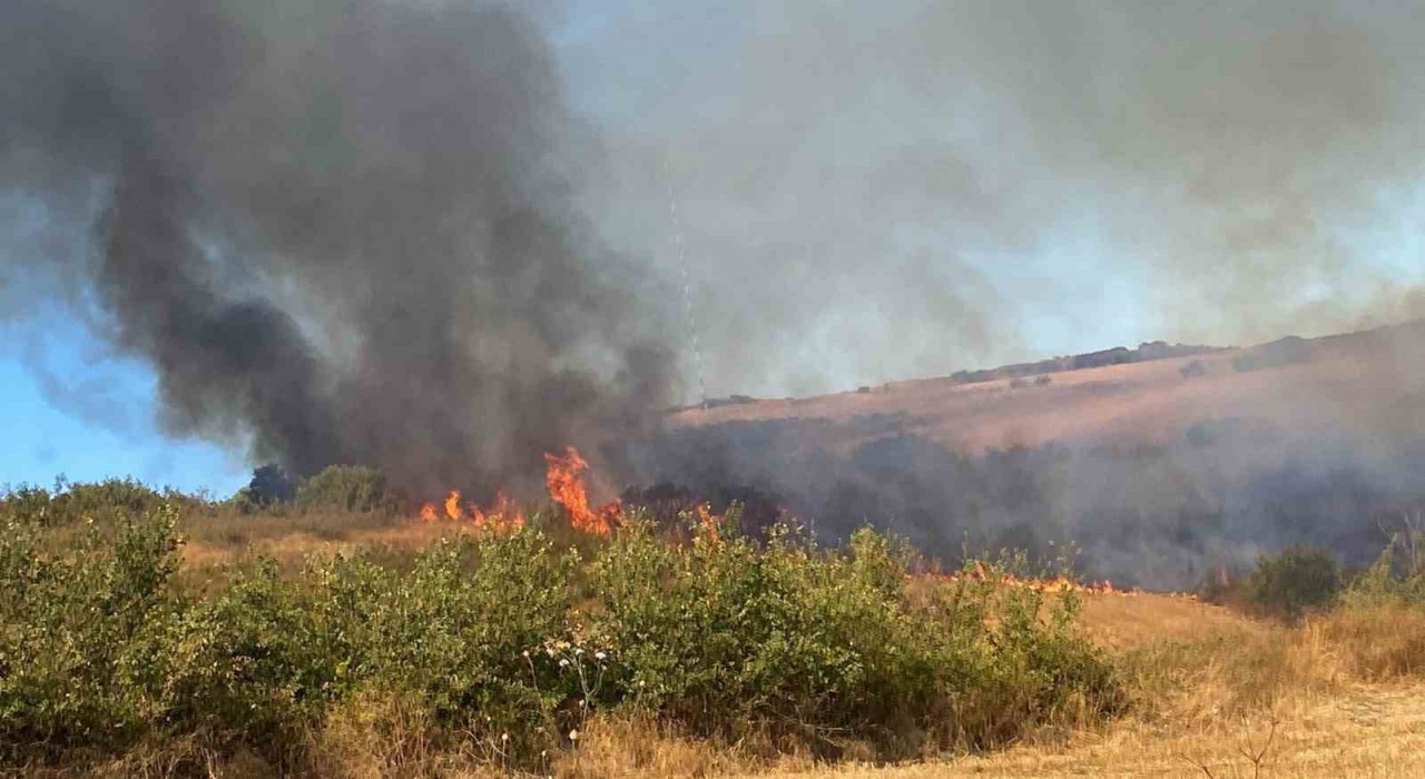 Manyas Yeniköyde çıkan yangına ekiplerden ortak müdahale