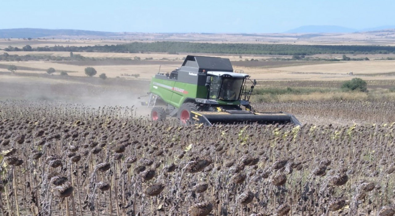 Manyasta ayçiçeği hasadı başladı