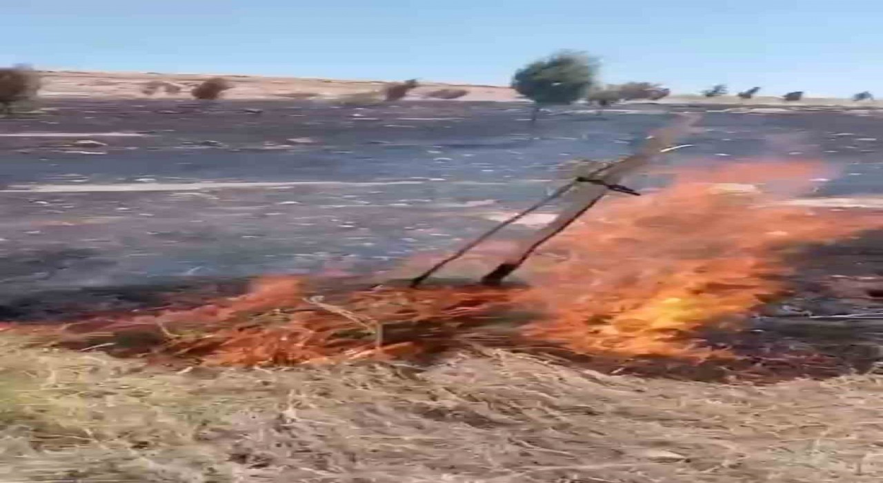 Mardinde çıkan ot yangını söndürüldü