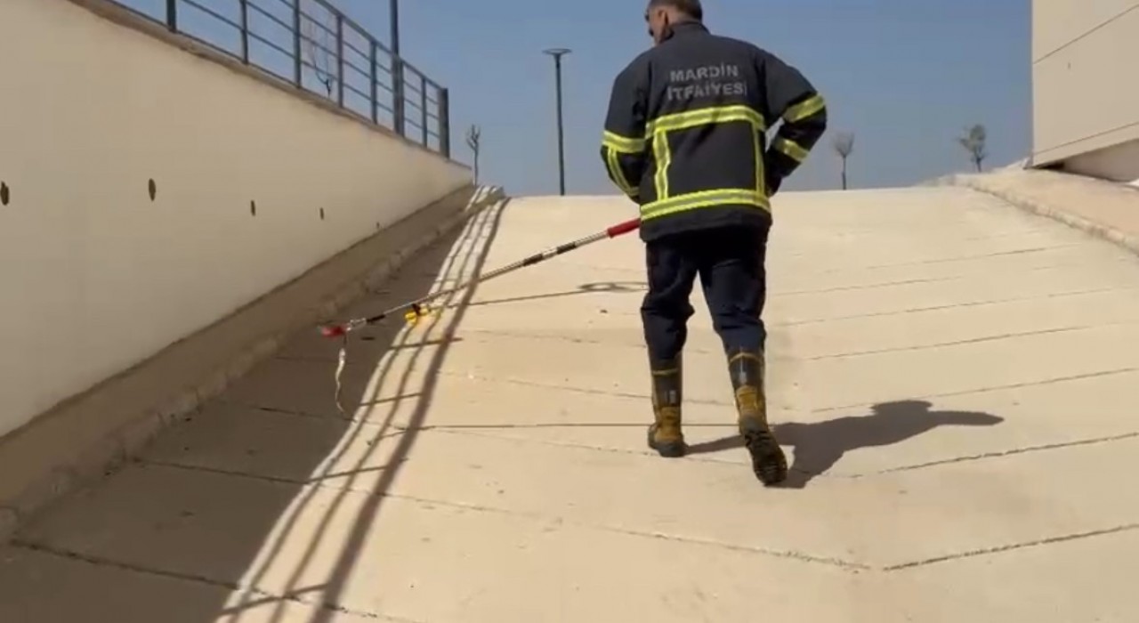 Mardinde diş hastanesine giren yılan ekiplerce doğaya salındı