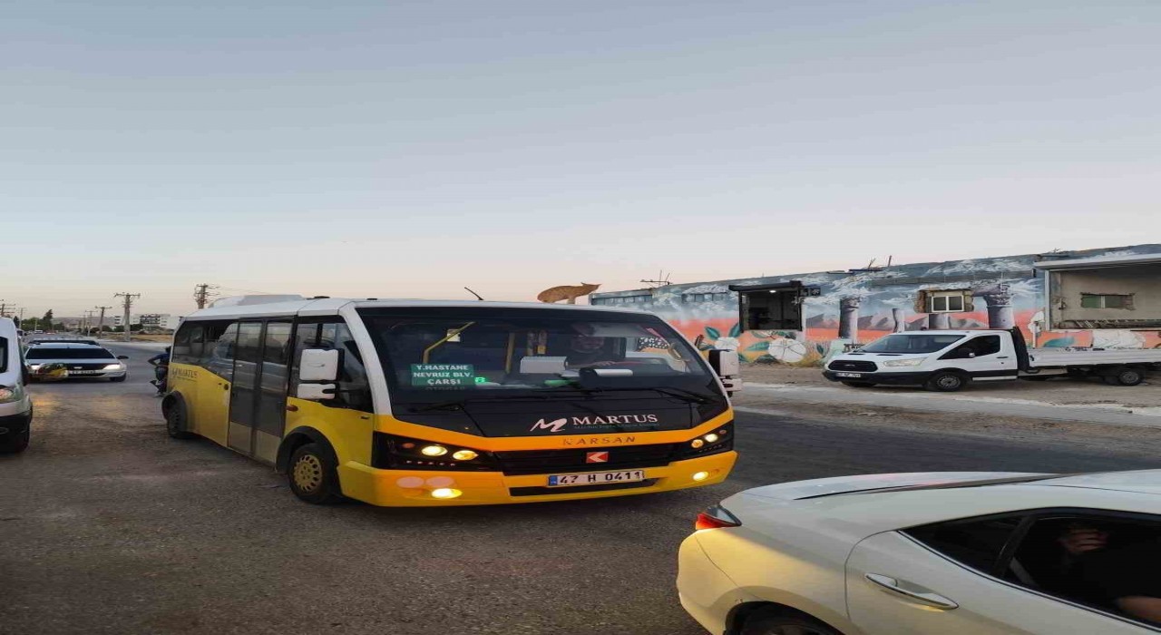 Mardinde dolmuşun üzerinde yolculuk yapan kedi kameraya yansıdı