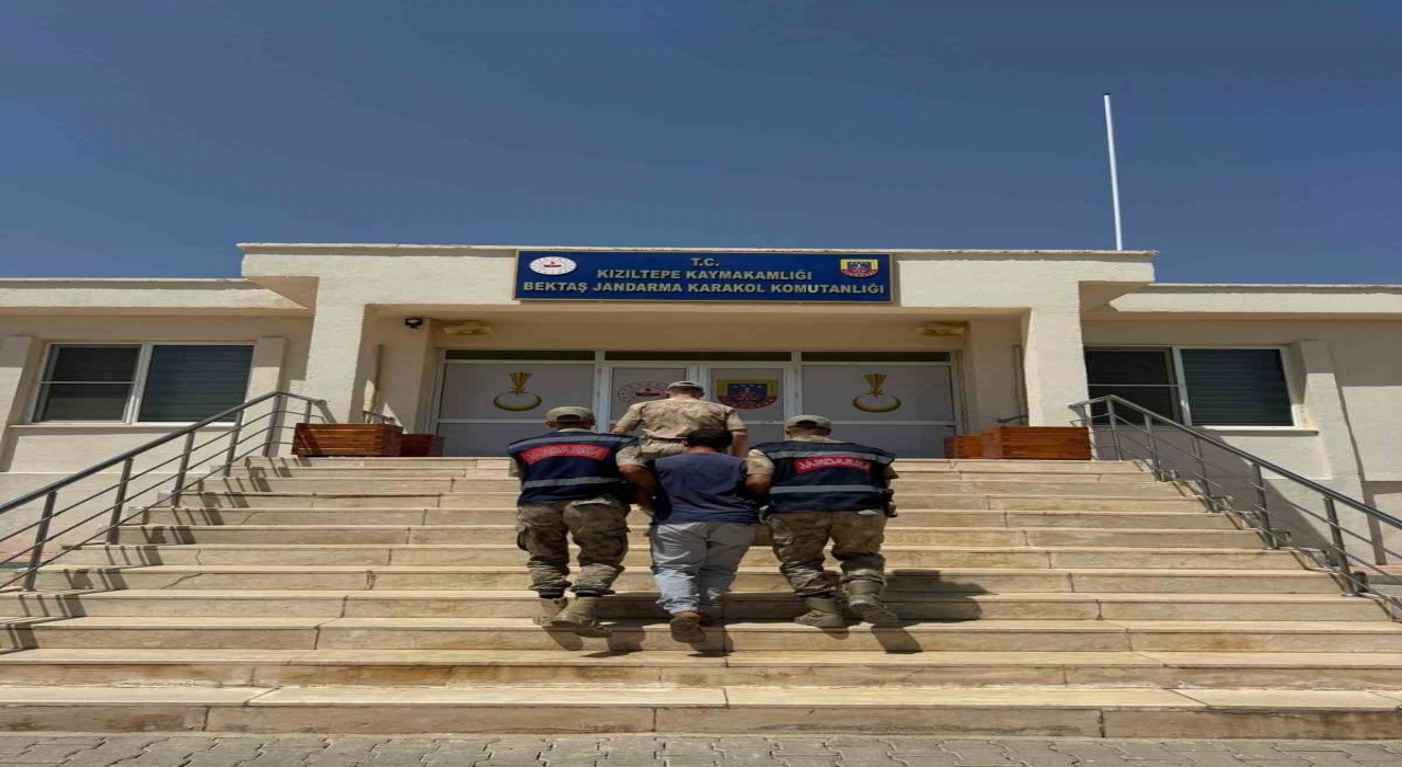 Mardinde hayvanlara ilişkin uygunsuz paylaşım yapan şahıs gözaltına alındı