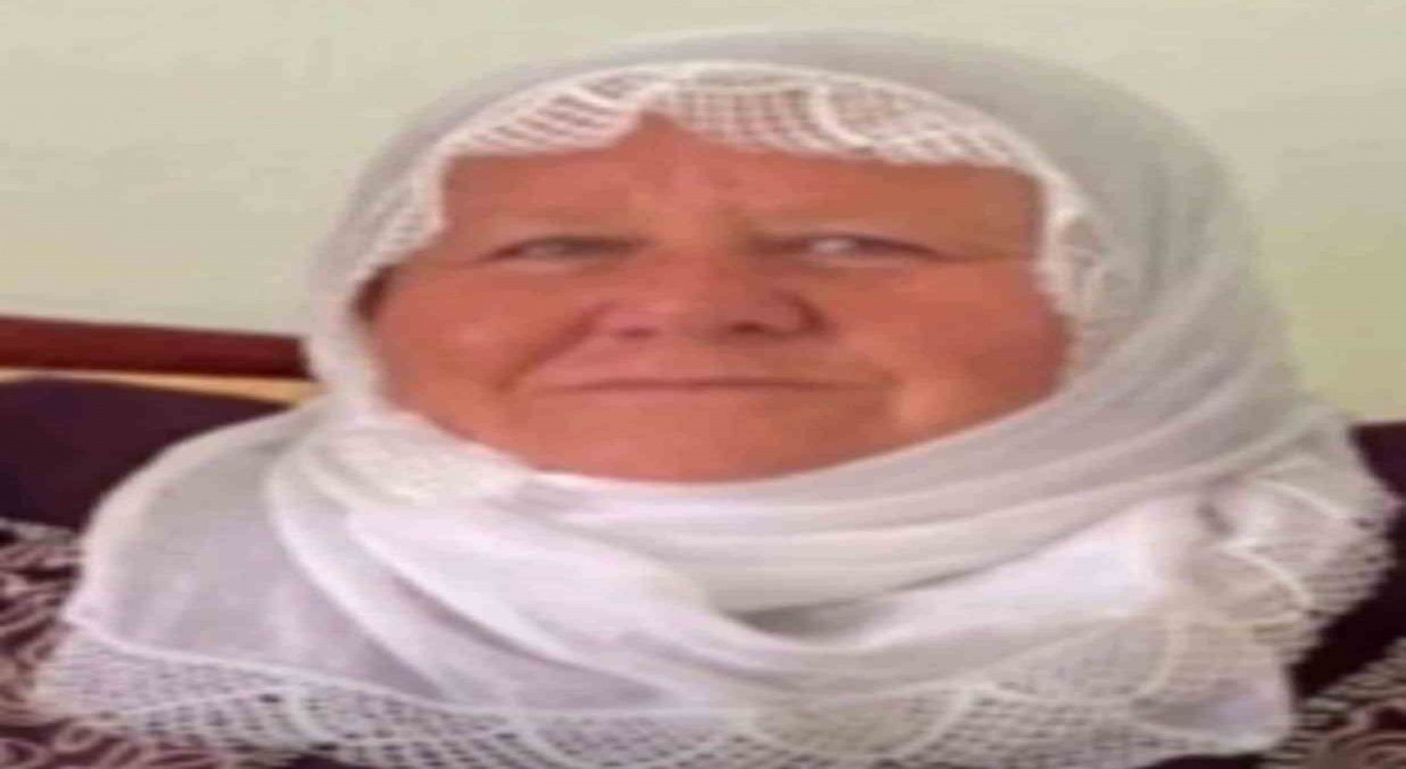 Mardinde otomobilin çarptığı kadın hayatını kaybetti