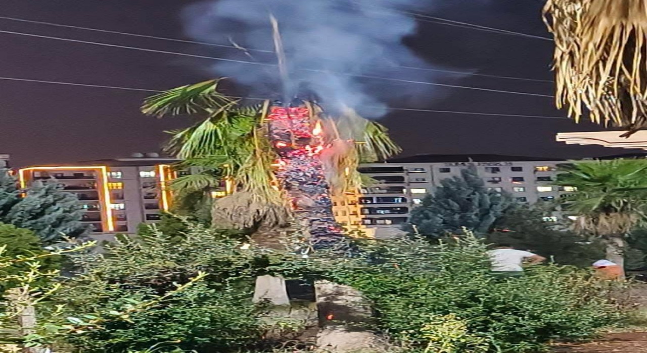 Mardinde palmiye ağacı ateşe verildi