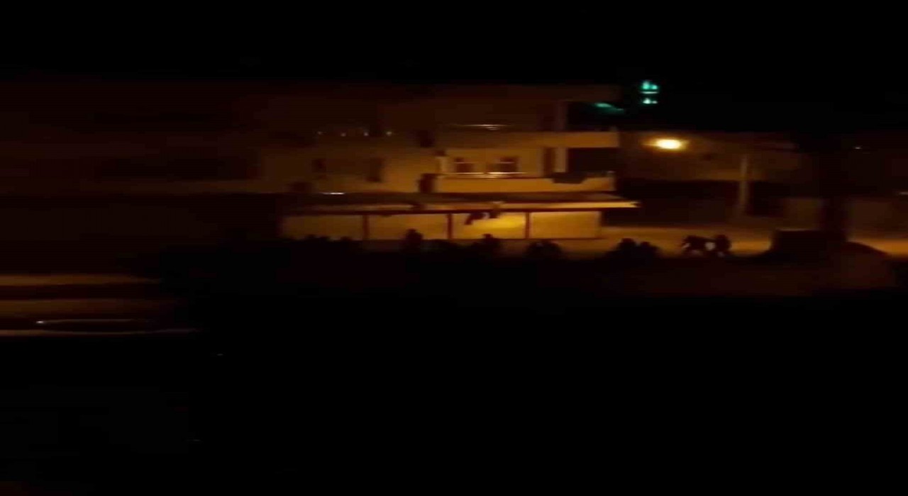 Mardinde taşlı sopalı kavga cep telefonu kamerasına yansıdı