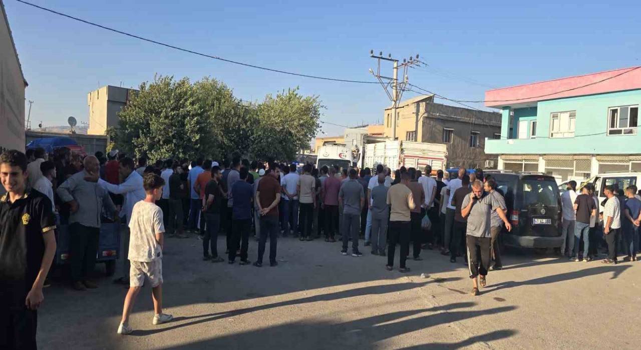 Mardinde tırın çarptığı şahıs hayatını kaybetti