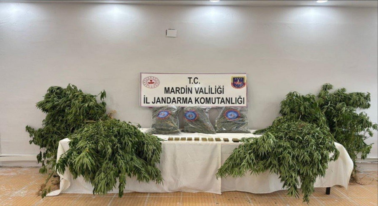 Mardinde uyuşturucu operasyonu: 1 tutuklama