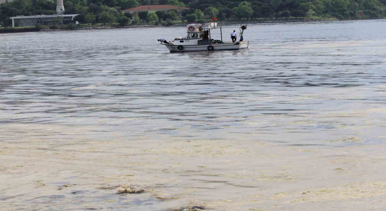 Marmaranın küçük balıkçılarına müsilaj desteği geliyor