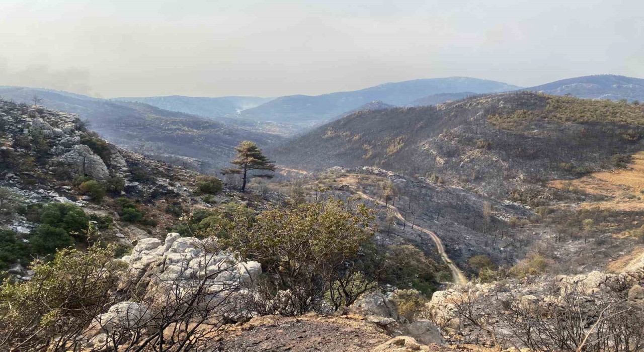Mersin Silifkede yangın büyük ölçüde kontrol altına alındı