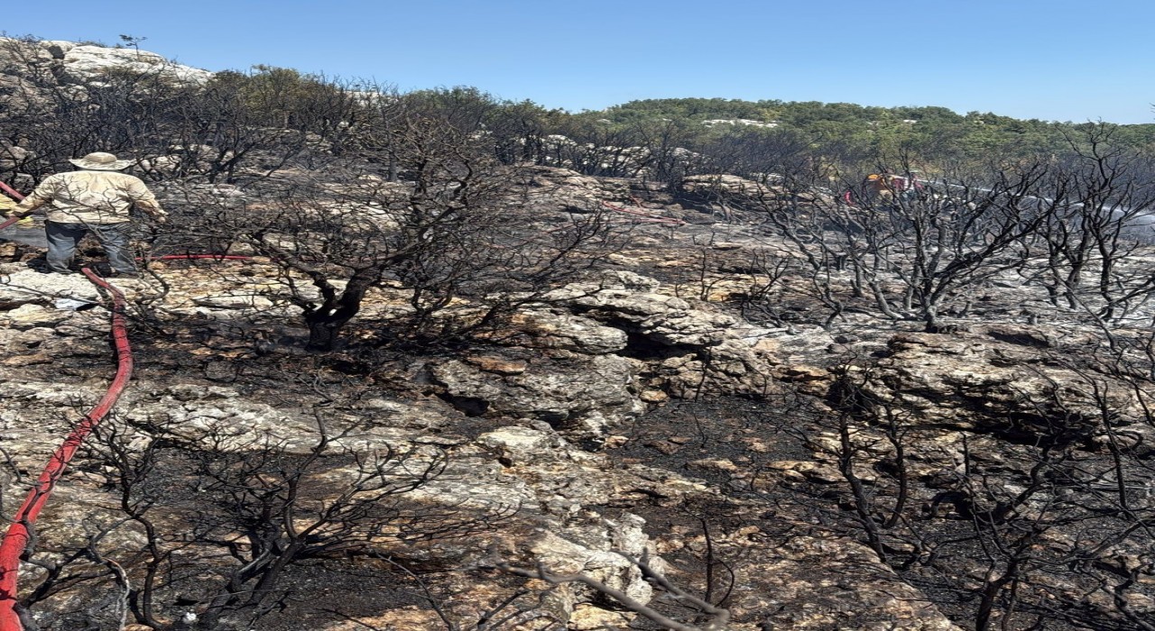 Mersin Silifkede yangın ormanı sarmadan söndürüldü