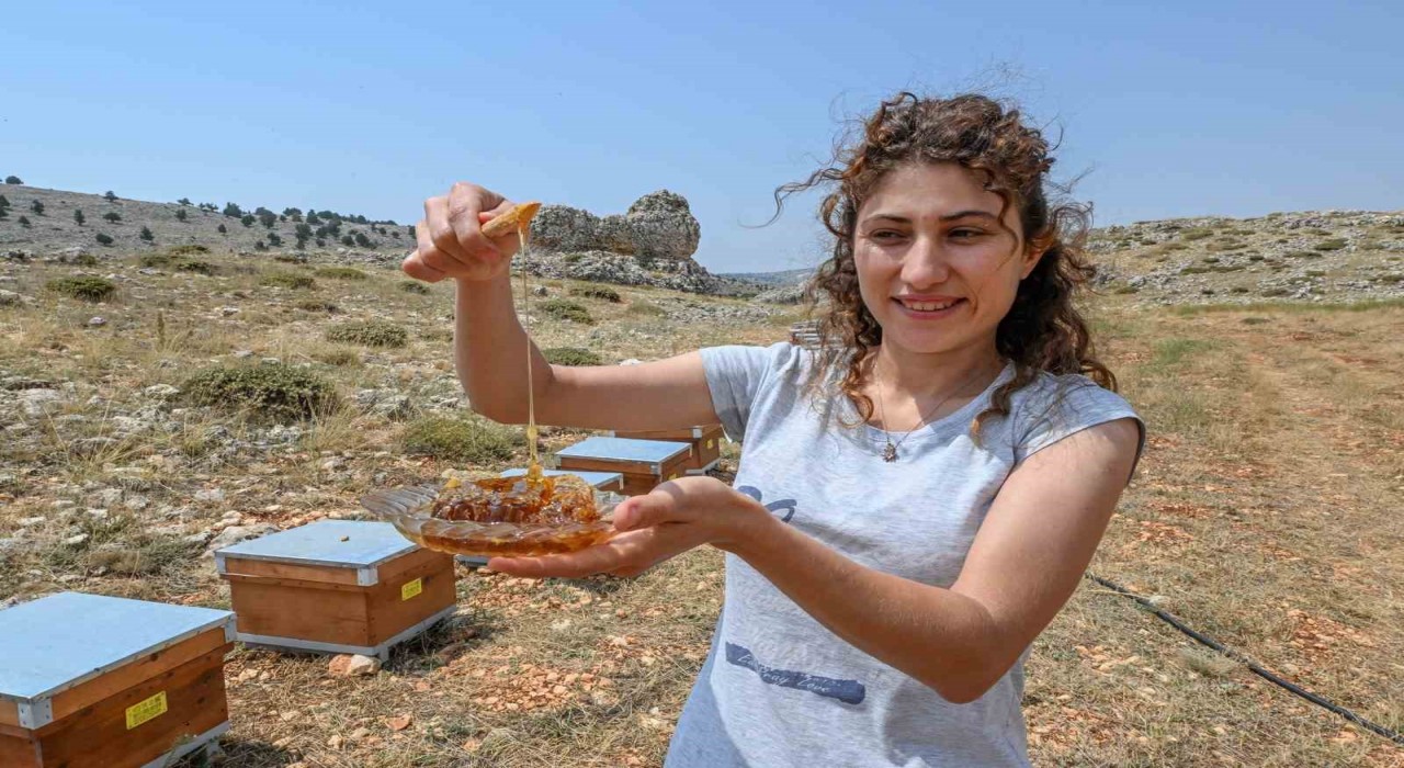 Mersinde ‘Altın Kovan Projesi ile arı yetiştiriciliğine destek