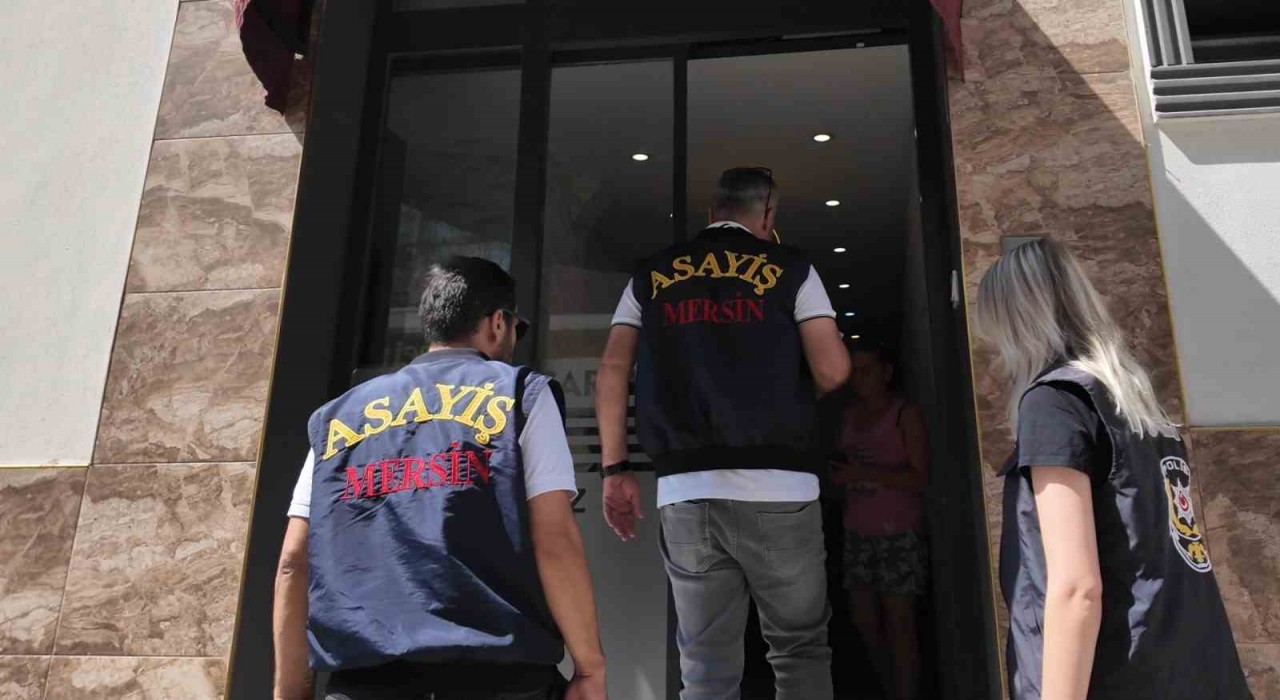 Mersinde günübirlik ev ve kiralık araç firmaları denetlendi