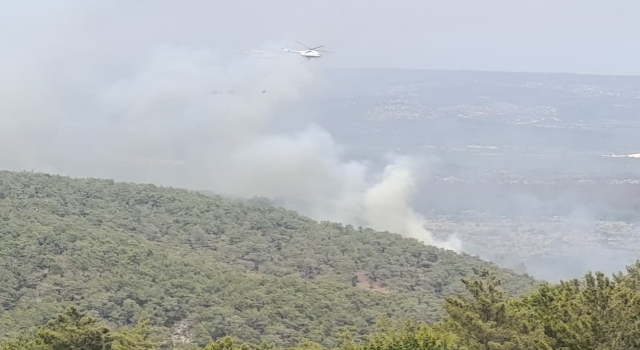 Mersinde kaynak yaparken orman yangınına neden olan firma sahibi ile 4 kişi tutuklandı