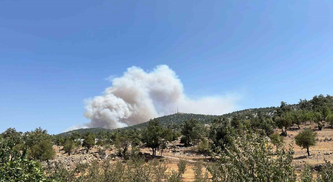 Mersinde orman yangını