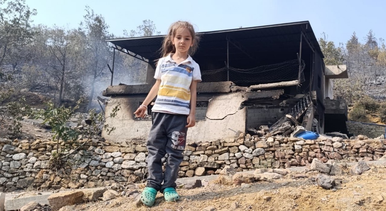 Mersinde orman yangınında evler yandı, hayvanlar telef oldu