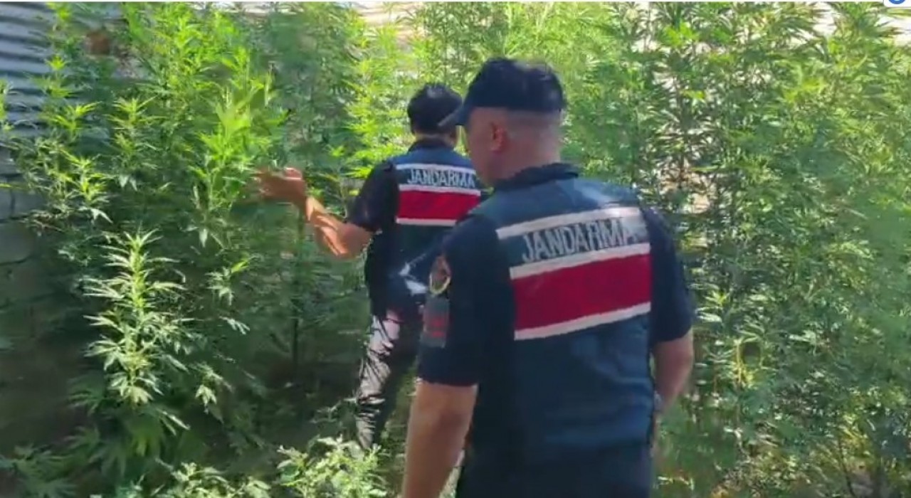 Mersinde uyuşturucu operasyonu: 8 gözaltı