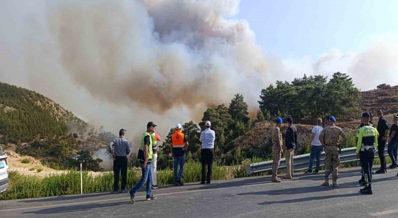 Mersindeki orman yangını: 5 ilden takviye geldi ekiplerin müdahalesi sürüyor