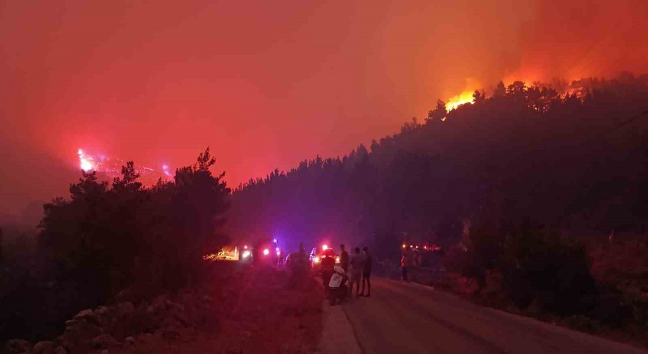 Mersindeki orman yangınına müdahale sürüyor