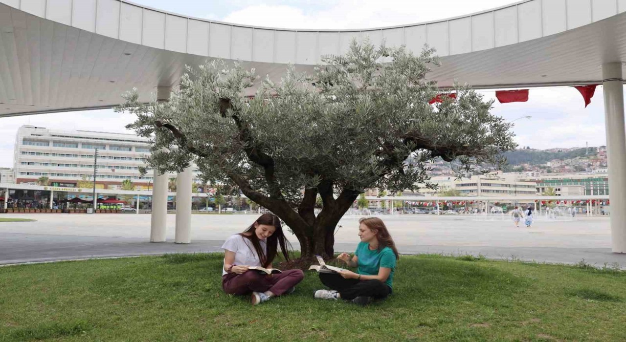 Milli İrade Meydanına 300den fazla ağaç dikildi
