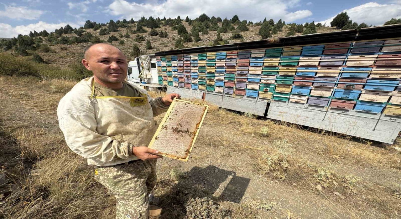 Mobil tır ile bal üretiyor kovanları indirmeden Toros Dağlarını karış karış geziyor