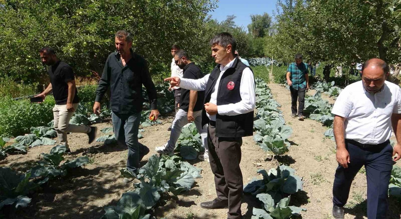 Modern basınçlı sulama sistemiyle hem işçilikten hem de verimden kazandı