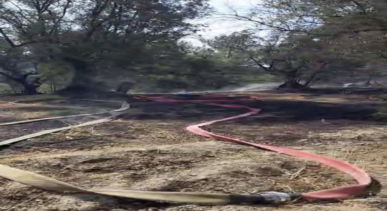 Mudanyada korkutan yangın