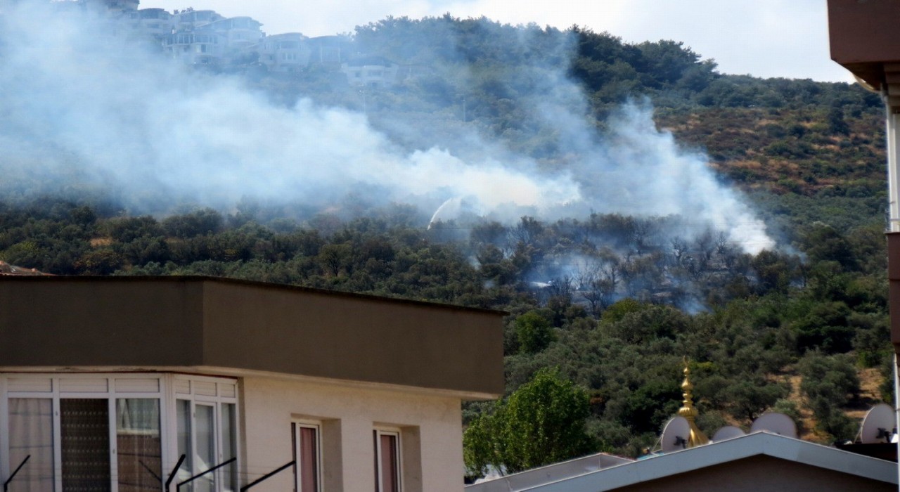 Mudanyada korkutan yangın