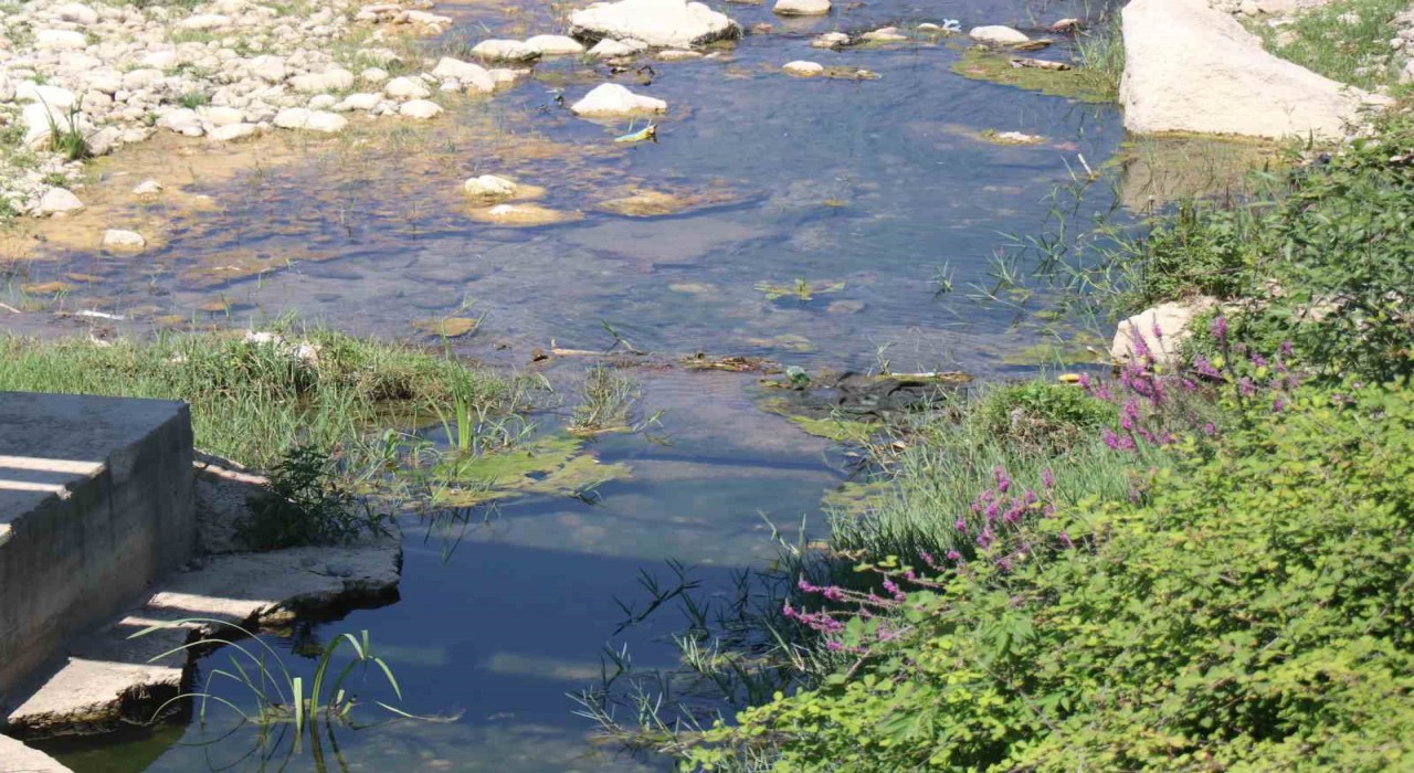 Mudurnu Deresini kirleten firmanın faaliyeti durduruldu