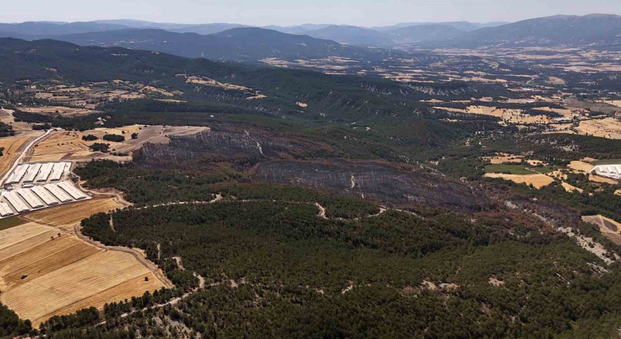 Mudurnudaki orman yangınında 66 hektar alan kül oldu