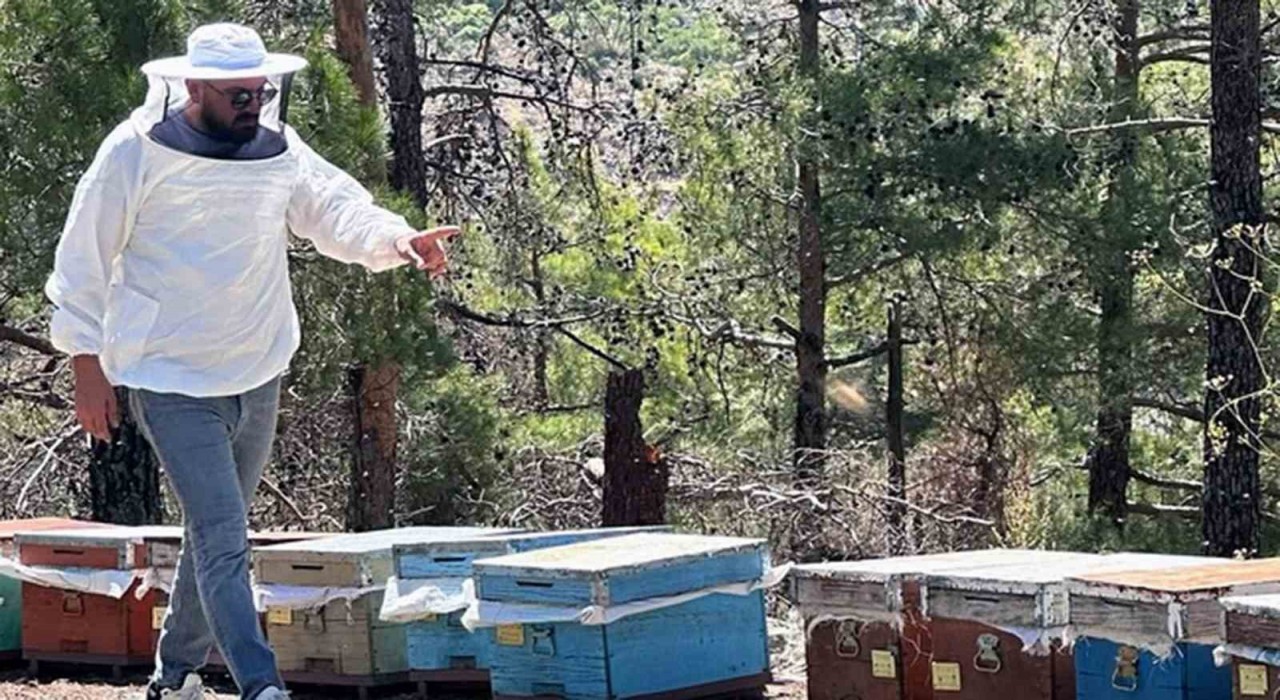 Muğlada arılı kovan destekleme tespit çalışması yapıldı