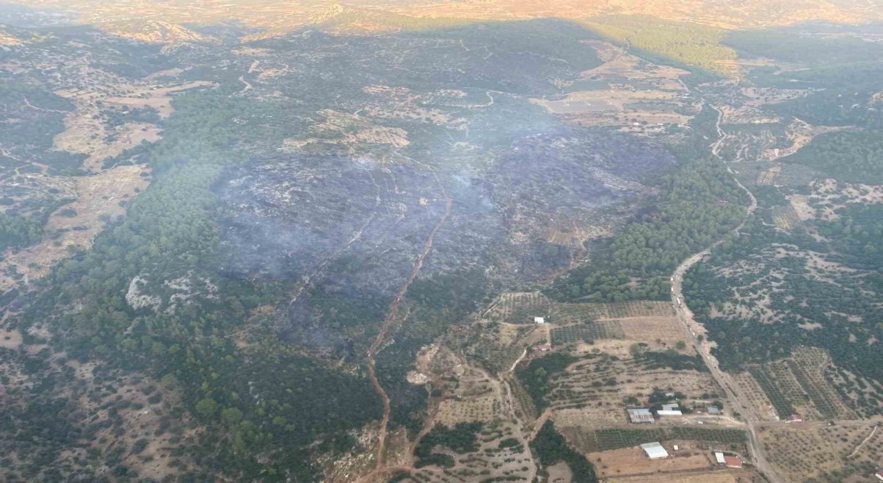 Muğladaki orman yangını kontrol altına alındı