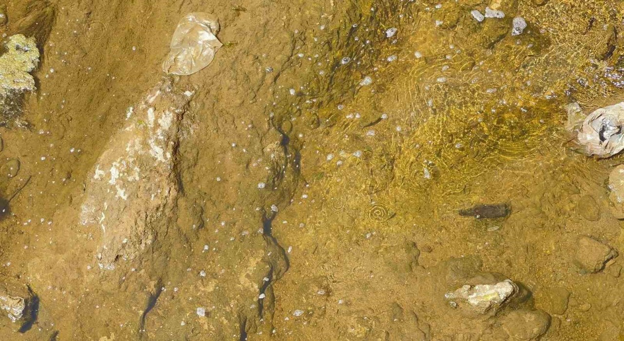 Muradiye Bendimahi Çayında su seviyesi düştü: Siraz balığı yavruları tehlikede