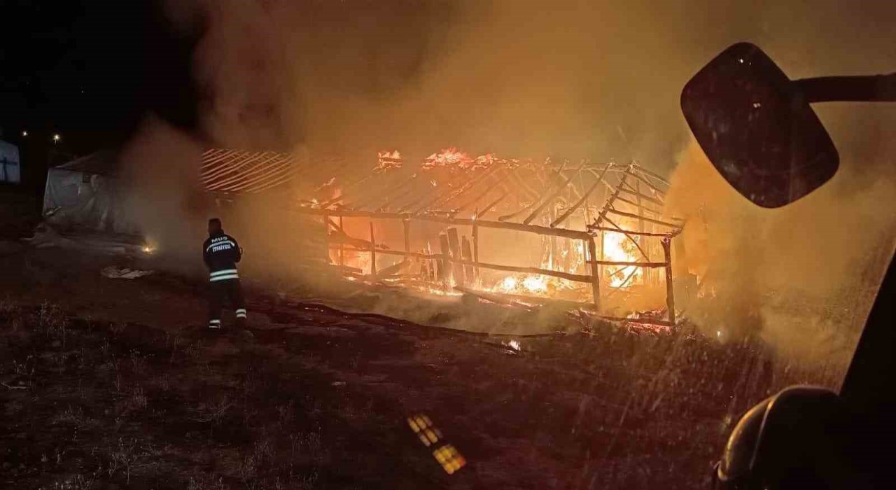 Muşta ahır yangını: Hayvanlar son anda kurtarıldı