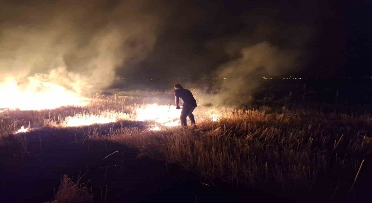 Muşta anız yangını korkuttu
