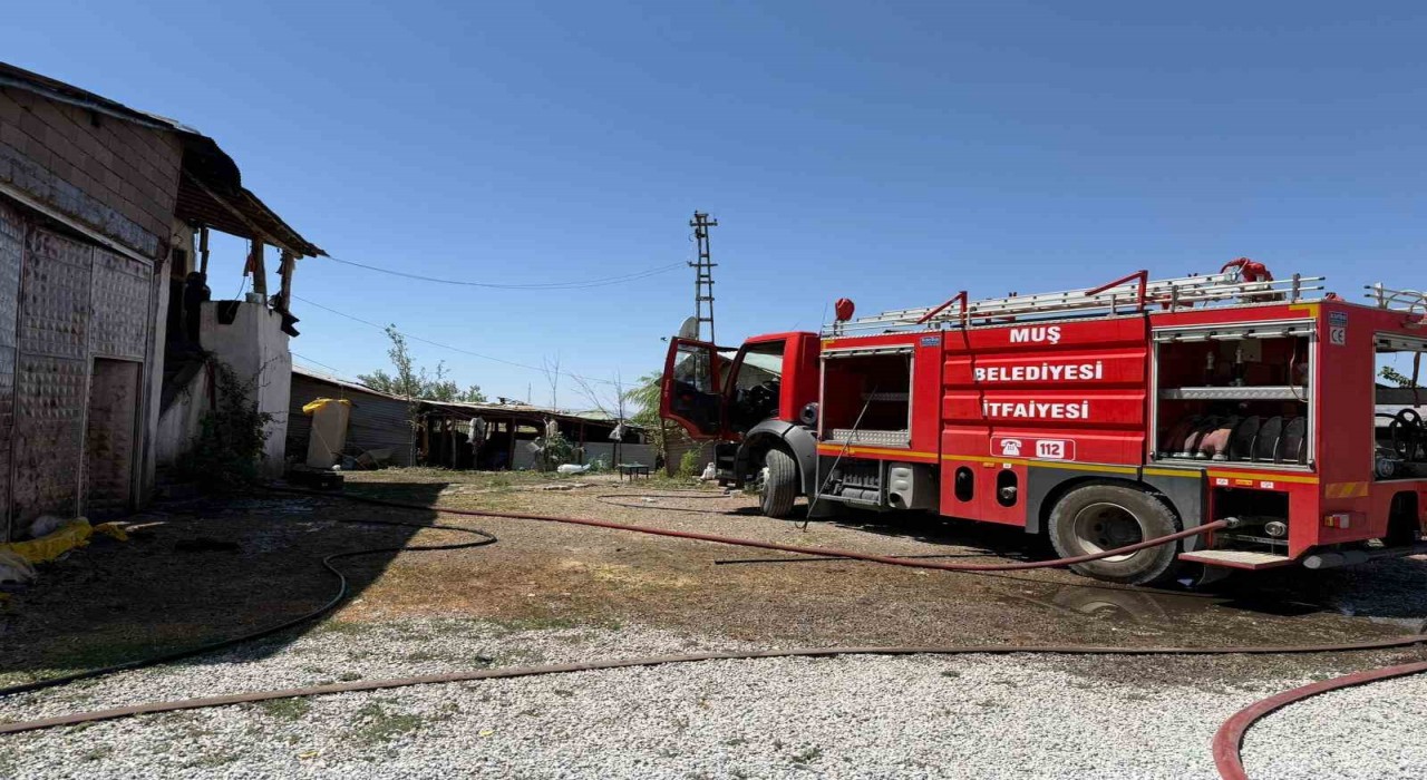 Muşta ev ve samanlık yangını