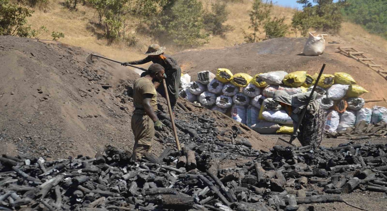 Muşta mevsimlik işçilerin zorlu mangal kömürü mesaisi