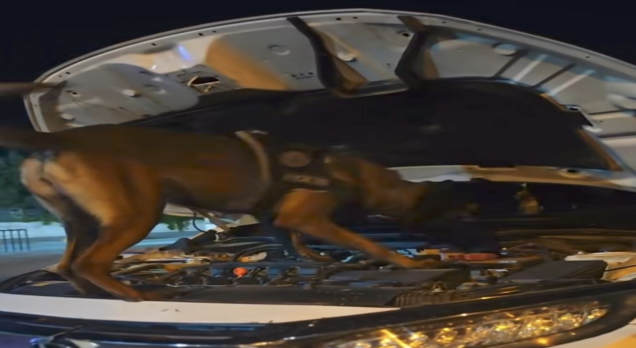 Muşta polis ekiplerinden suç ve suçlulara geçit yok