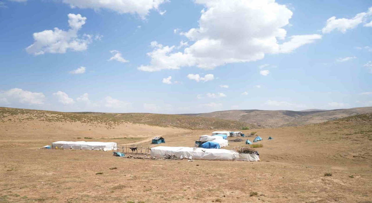 Muşta yaylacılar dönüş hazırlığında