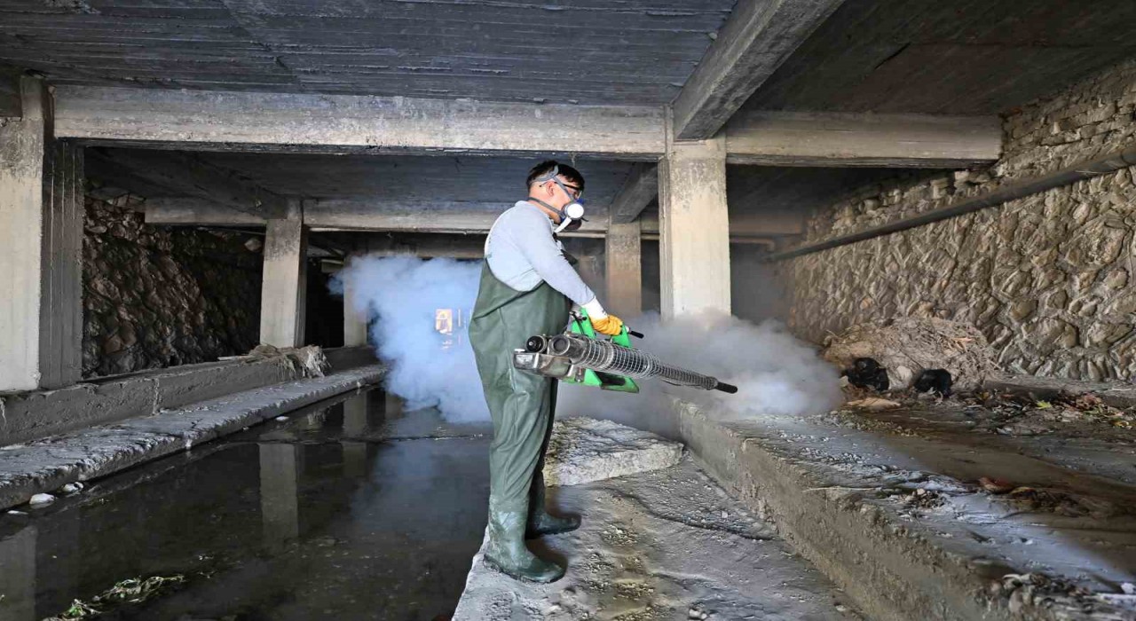 Mutta sineksiz yaz için etkili mücadele sürüyor