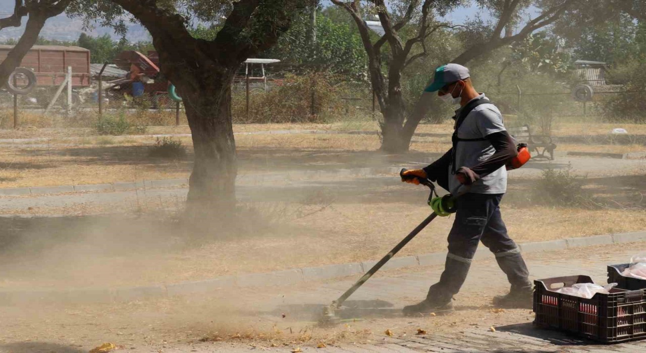 Nazilli Belediyesinden Pirlibeyde temizlik atağı