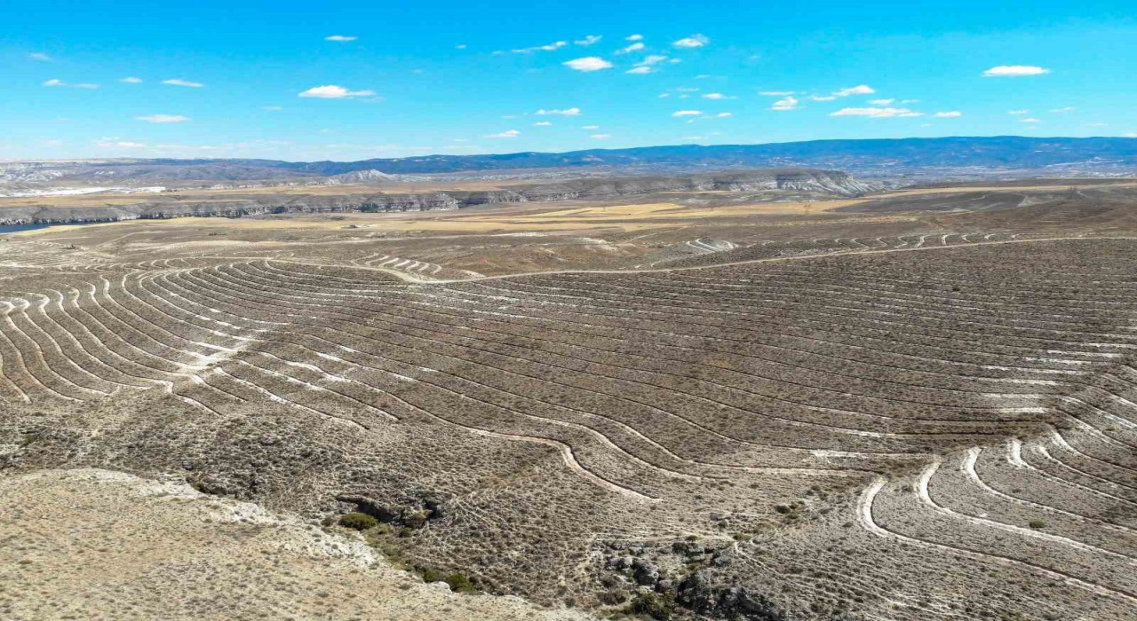 OGM: Ankarada 600 futbol sahası büyüklüğünde alanda erozyona karşı set oluyoruz