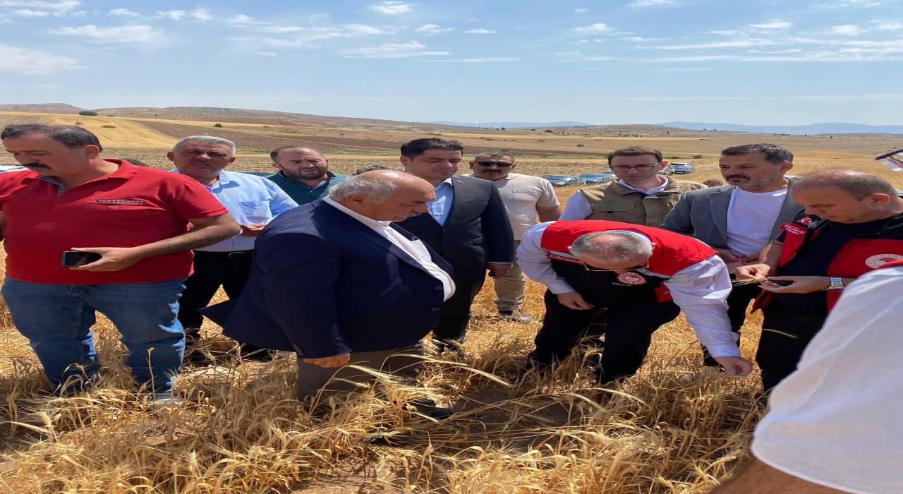 Okandan: AK Parti olarak her zaman üreticimizin ve çiftçimizin yanındayız