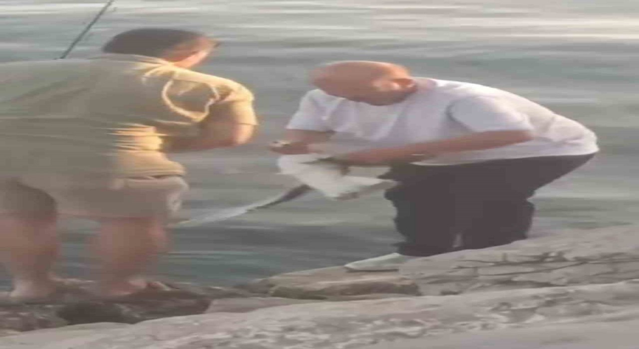 Oltaya balık yerine martı takıldı