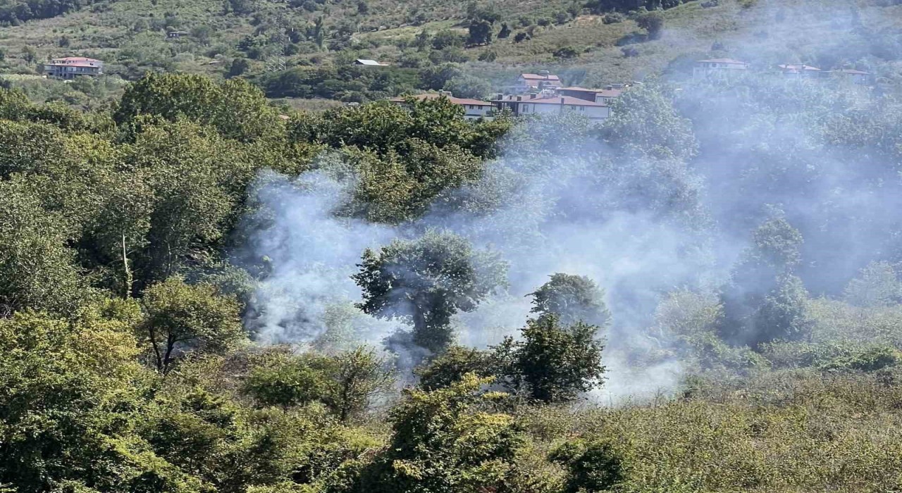 Orduda bahçe temizliği yangına yol açtı