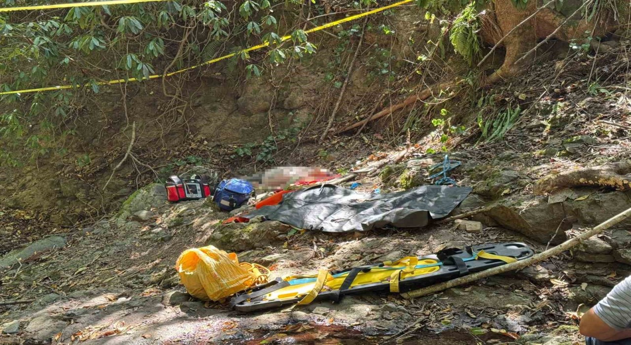 Orduda fındık toplarken uçurumdan düşen vatandaş hayatını kaybetti