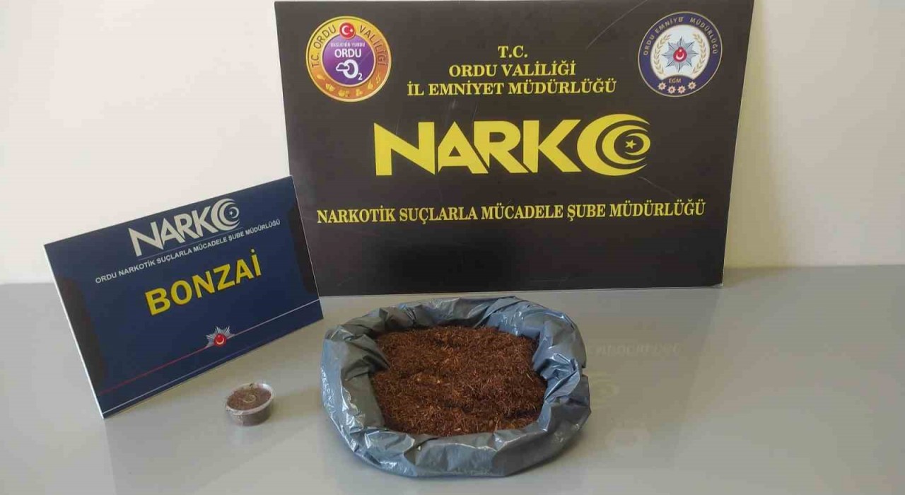 Orduda uyuşturucu operasyonlarında 2 tutuklama