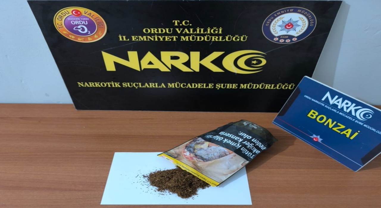 Orduda uyuşturucu operasyonlarında 2 tutuklama