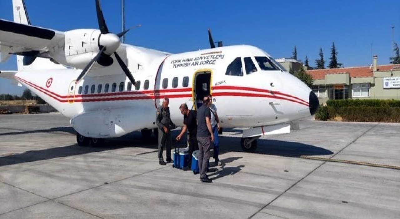 Organ nakli bekleyen hastaya Hava Kuvvetlerine ait ambulansla karaciğer grefti ulaştırıldı