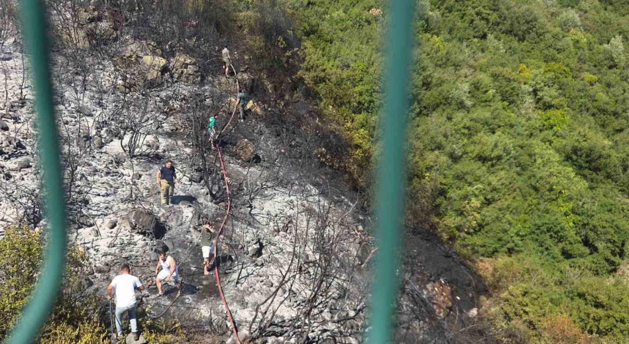 Orhangazide orman yangını korkuttu